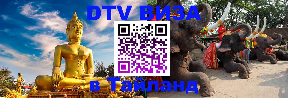 Оформление DTV визы под ключ: стоимость и тарифы, только загранпаспорт - Волжский  20.11.2025 